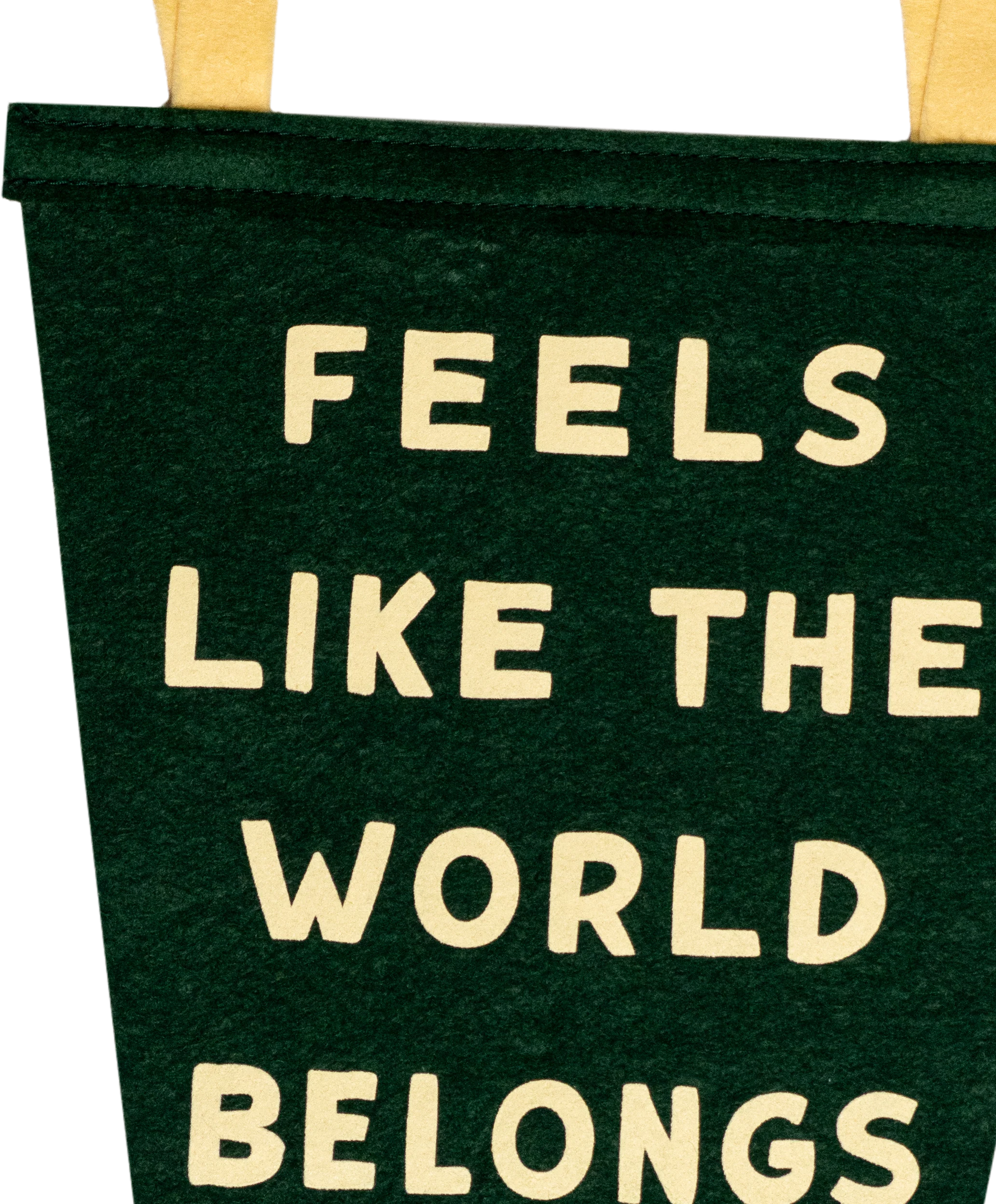 Feels Like The World Belongs To You & Me Fishtail Pennant • Turnpike Troubadours x Oxford Pennant - Image 3