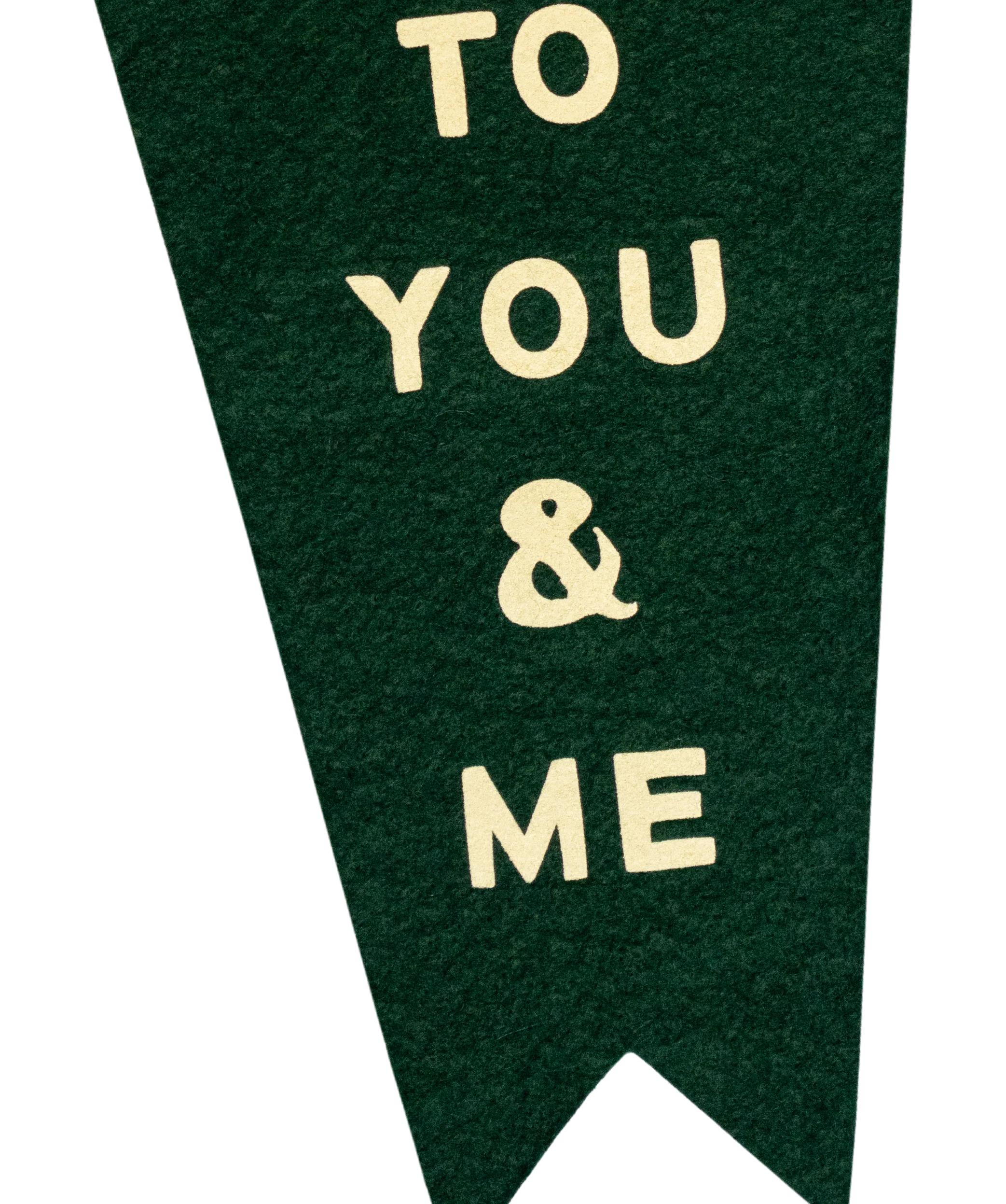 Feels Like The World Belongs To You & Me Fishtail Pennant • Turnpike Troubadours x Oxford Pennant - Image 4